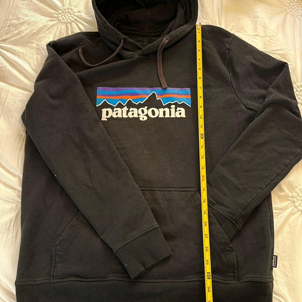 PATAGONIA hoodie. THICK sturdy feeling fabric. 1 front pocket. Adult LARGE